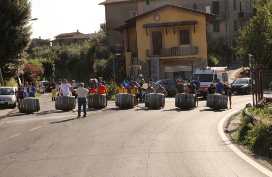 serrone 2014 (22)